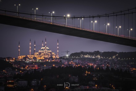 The Bridge