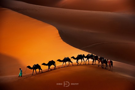 The caravan