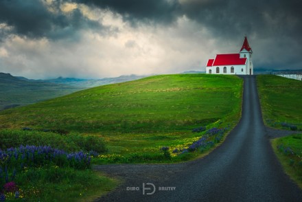 The house
