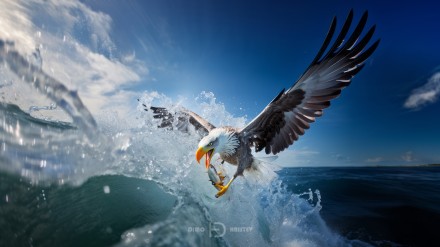 Wave splash